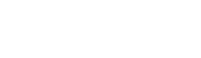 Team Rumvee